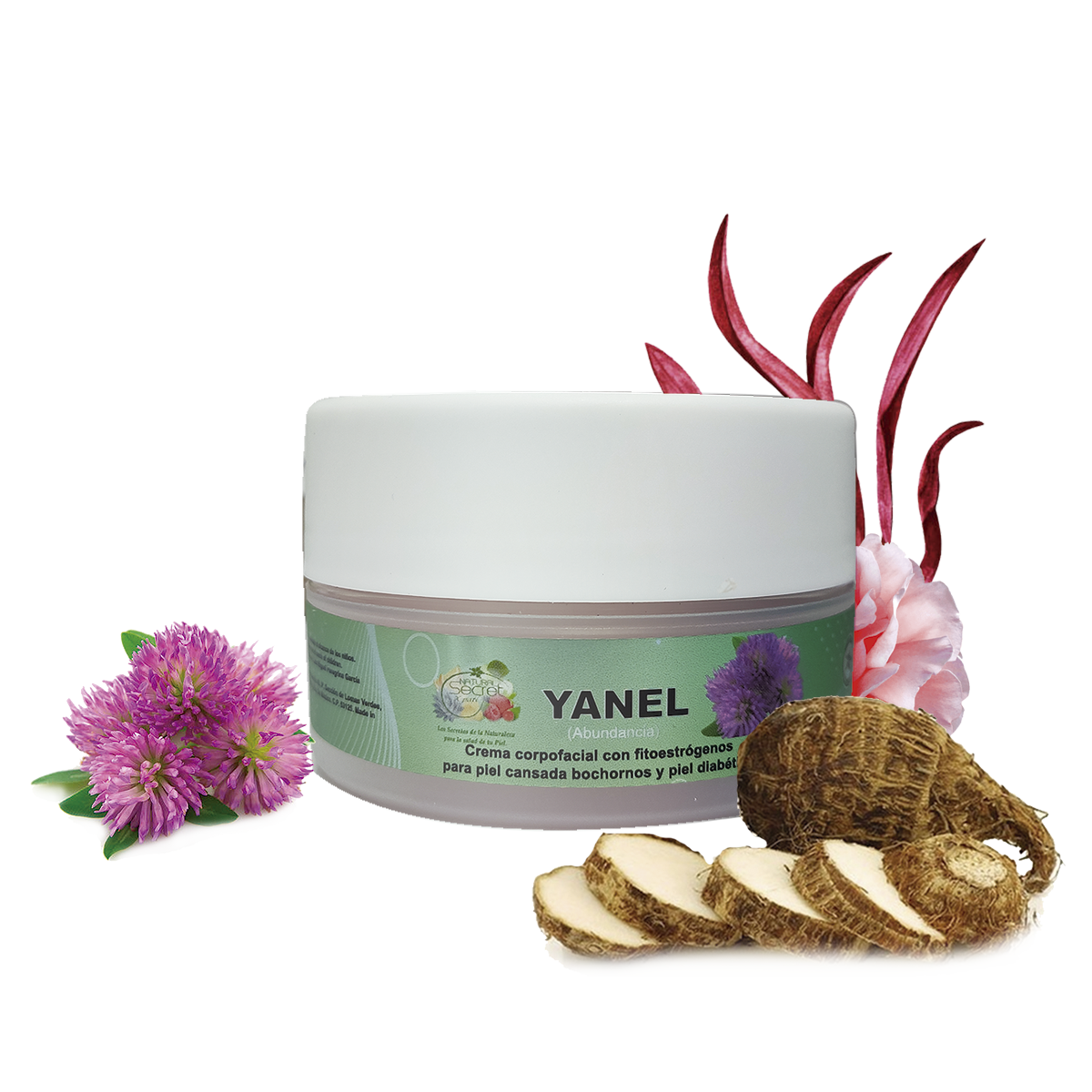 YANEL CON ACTIVOS