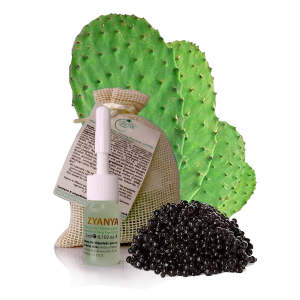 Apm-Zyanya-con-activos