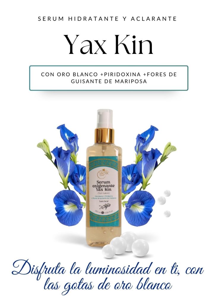 Yax kin movil